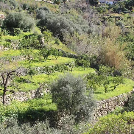 Olive Garden House 2 *